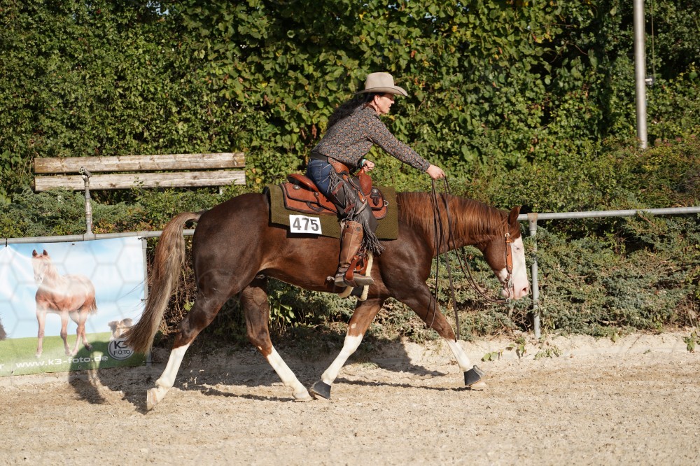 s_A_908491.JPG